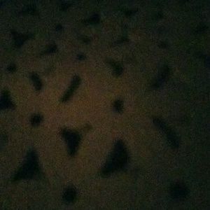 Meet your Posher, Alexandra